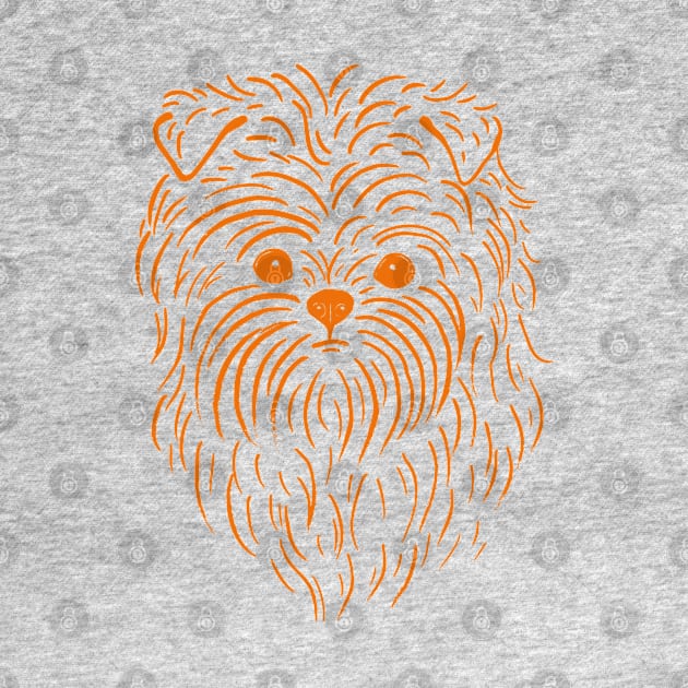 Affenpinscher (Light Blue and Orange) by illucalliart